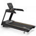 Беговая дорожка Aerofit AC2990 (X2-T LED) 75_75