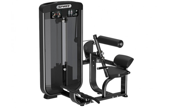 Разгибание спины Spirit Fitness SP-3503 (макс.вес) 600_380